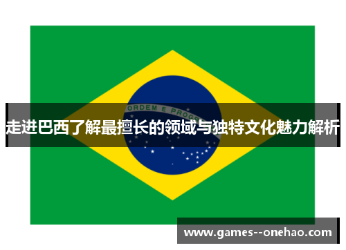 走进巴西了解最擅长的领域与独特文化魅力解析 走进巴西了解最擅长的领域与独特文化魅力解析