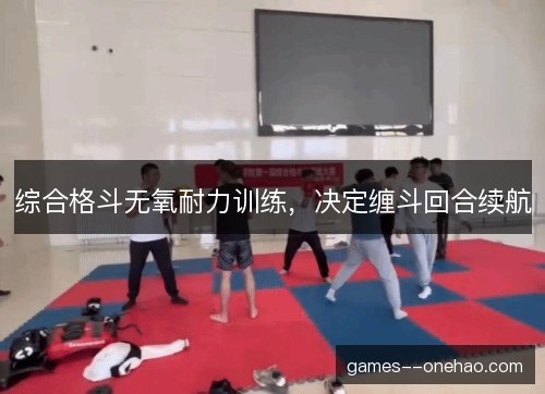 综合格斗无氧耐力训练,决定缠斗回合续航 综合格斗无氧耐力训练,决定缠斗回合续航